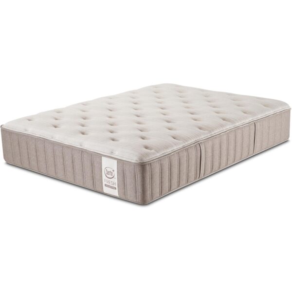 Fresh Collective Wheat Firm Twin XL Mattress