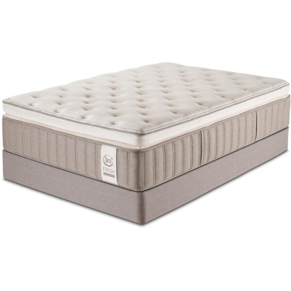 Fresh Collective Wholesome Super Pillow Top Plush King Mattress - Image 5