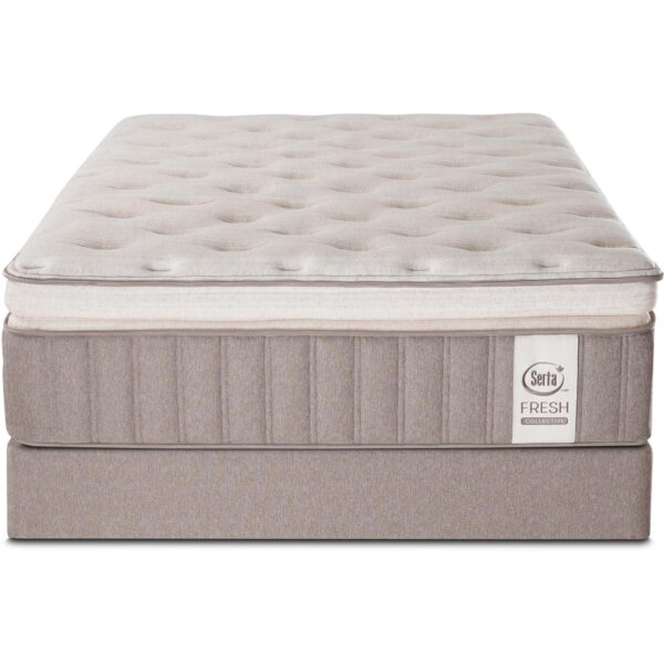 Fresh Collective Wholesome Super Pillow Top Plush Full Mattress - Image 6