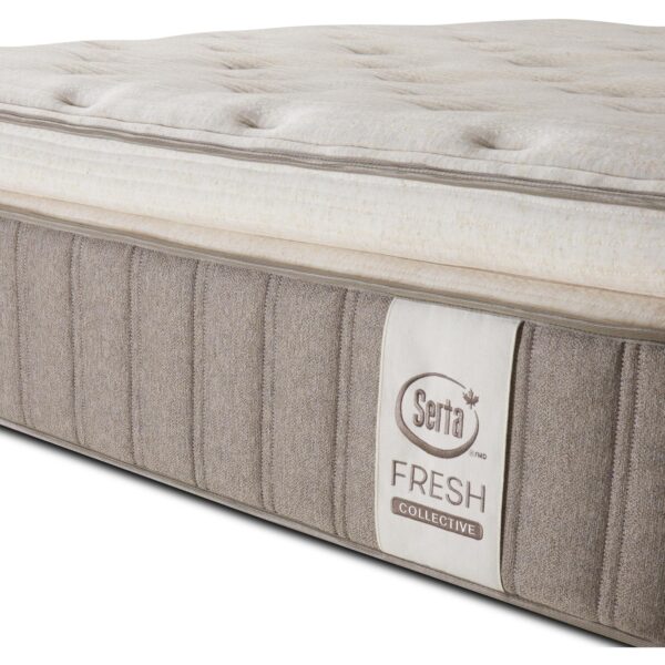 Fresh Collective Wholesome Super Pillow Top Plush Full Mattress - Image 7