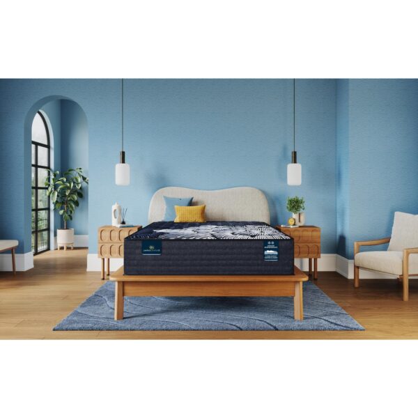 Serta Perfect Comfort Phoenix Luxury Firm King Mattress - Image 9