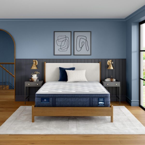 Serta iComfort Pro Portsmouth Firm Euro Top Queen Mattress - Image 9